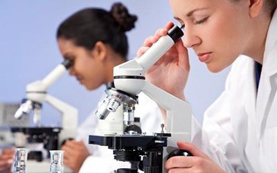 Medical & Paramedical
